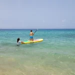 PADDLE SURF - SUP RENTAL